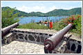 HISTORIC CANNON, SVG